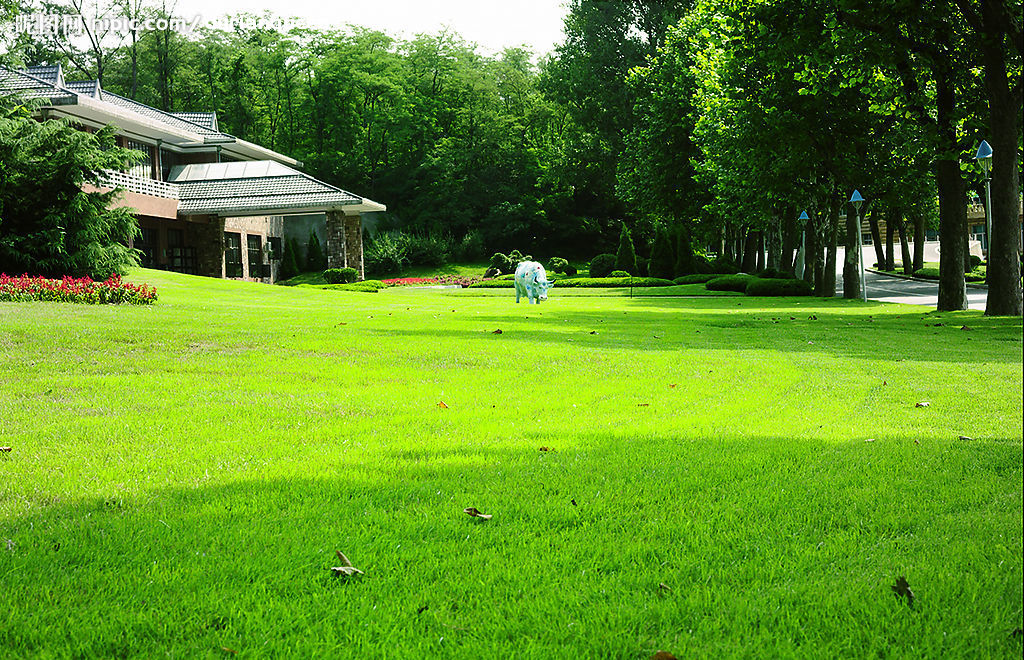 草坪融雪發(fā)熱電纜系統(tǒng)