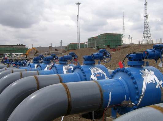 儀表防凍、導(dǎo)壓管防凍（防爆電伴熱）